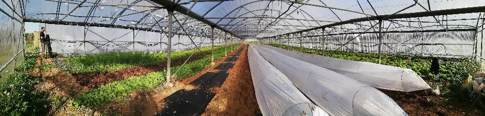 Part 15804668321761 2