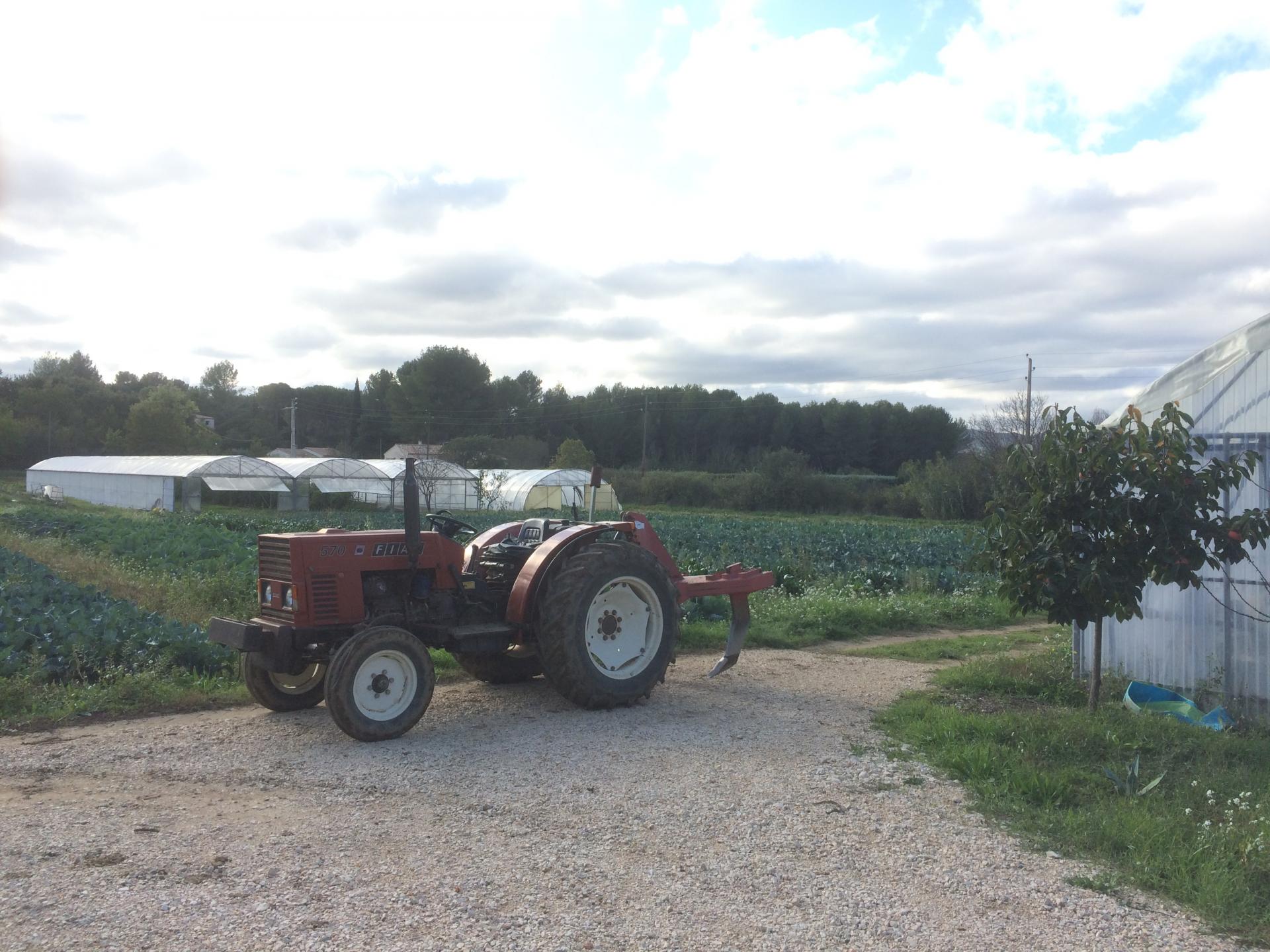 Photo tracteur rouge