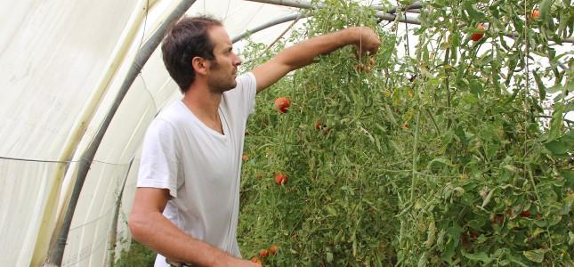 Pioli026w646 300pix72dpi 645x300